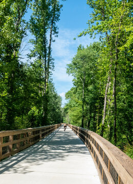 Raised Recreational Boardwalk over a Forested Floodplain