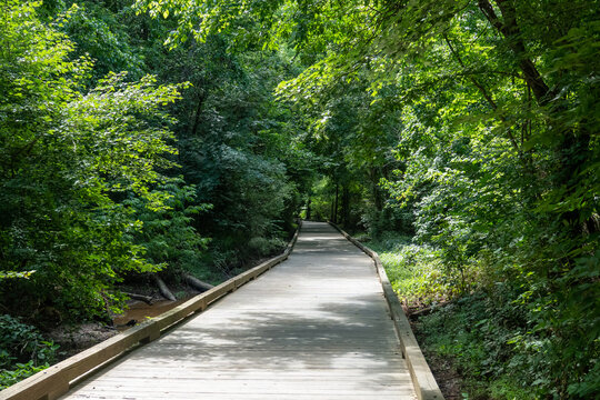 Raised Recreational Boardwalk over a Forested Floodplain