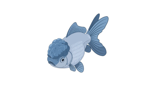 Blue Oranda Goldfish Vector Illustration Isolated on White