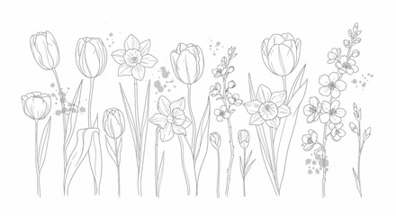 Obraz premium Hand Drawn Spring Flowers Line Art Collection