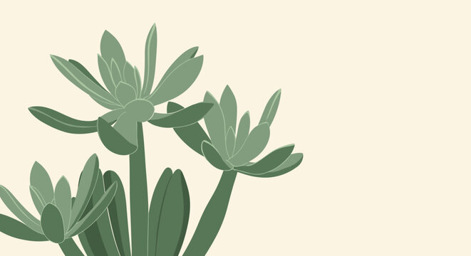 Artistic illustration of a green succulent plant with thick pointed leaves arranged in a rosette pattern on a soft background.