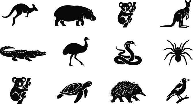 Australian animal silhouette set including kangaroo, koala, crocodile, emu, platypus, echidna, snake, spider, turtle, magpie and hippopotamus icons for nature and wildlife design projects.