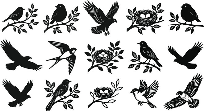 Black silhouette icon set of wild birds flying, perched on branches, swallow, hawk, eagle, and bird nests with eggs, isolated on white background.