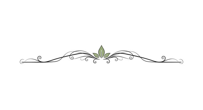 Delicate symmetrical floral divider featuring thin swirling black lines and three central green leaves on a white background.
