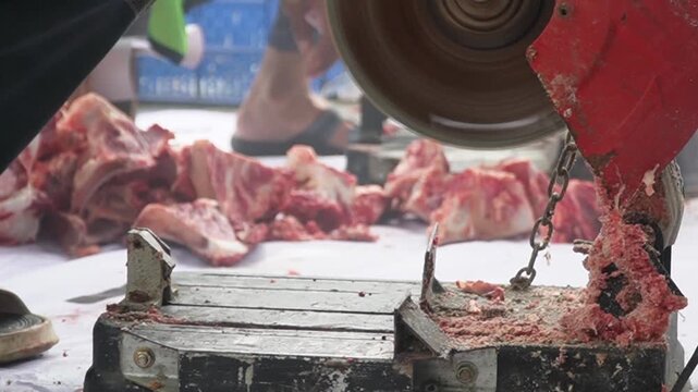 An electric bone saw machine chopping thick beef bones and raw ribs during Islamic Eid al Adha. Close-up of butcher hand slicing hard sacrificial animal bones for qurban meat division process.