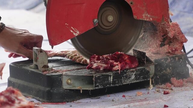 An electric bone saw machine chopping thick beef bones and raw ribs during Islamic Eid al Adha. Close-up of butcher hand slicing hard sacrificial animal bones for qurban meat division process.