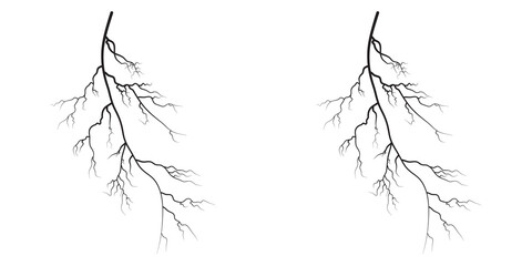 Fototapeta premium Main lightning form Vibrant electric bright, in night environment.