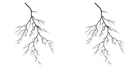 Fototapeta premium Lightning bolt shape Massive branched style, as powerful weather.