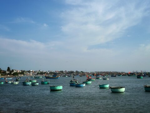 A scenic view of iconic round basket boats and traditional fishing vessels anchored in calm harbor waters under a blue sky. The coastal village background enhances this classic maritime scene. 