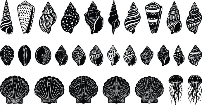 Large collection of black and white seashell silhouettes and jellyfish icons, decorative marine life vector elements isolated on white background for coastal designs.