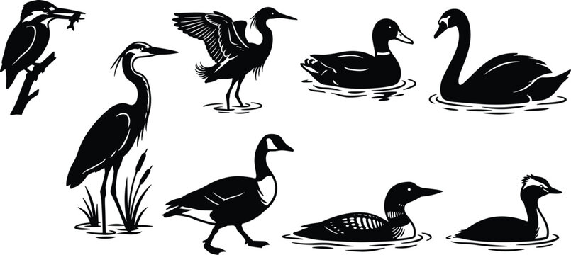Black and white water birds silhouettes set featuring duck, swan, goose, heron, kingfisher, and loon icons for nature design
