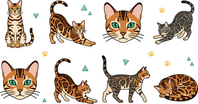 Bengal Cat Character and Face Vector Illustration Set with Various Poses Including Stretching, Sitting, Sleeping, and Walking for Pet Graphic Designs