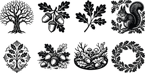 Oak tree nature vector elements set featuring acorns oak leaves wreath pattern and a squirrel linocut style illustrations on white background © Sirajul