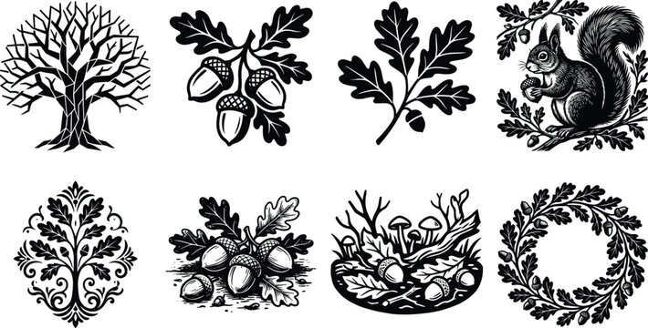 Oak tree nature vector elements set featuring acorns oak leaves wreath pattern and a squirrel linocut style illustrations on white background
