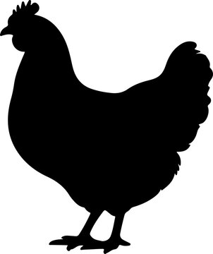 Chicken silhouette against a white background a simple depiction of a domestic fowl avian bird clucker cock hen poultry rooster shape.