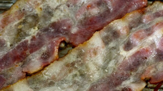 Extreme macro close-up of crispy bacon frying in hot pan with bubbling oil, sizzling fat splashing, golden crispy strips cooking, detailed kitchen shot, breakfast cooking concept