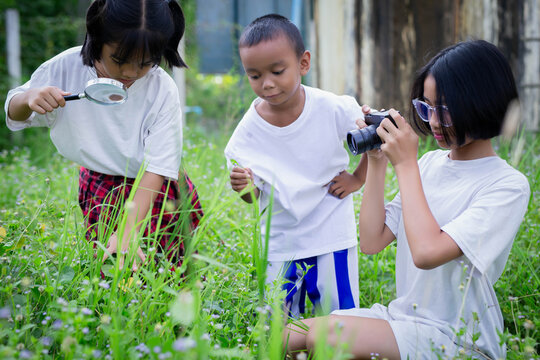  Exploring the Garden Through a Camera Lens