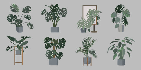 Indoor Plants In Pots Flat Vector Illustration On Gray Background © Topoti