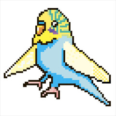 Fototapeta premium Budgie pixel art vector illustration