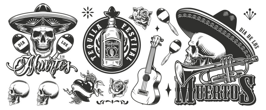 Tequila fest design info