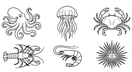 Minimalist sea life line art icons, black and white marine animal vector set, octopus jellyfish crab lobster shrimp and sea urchin illustrations © Sidra