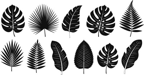 Black tropical leaf silhouettes set © Mst. Taslima Akhter