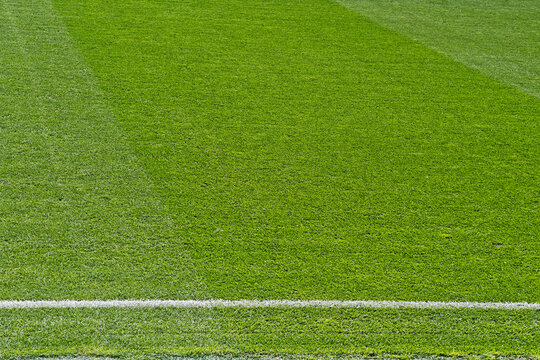 Detailed view of fresh green grass on a stadium or sports pitch with a crisp white boundary line and mowed stripes