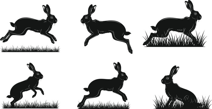 Jumping Rbbit Template