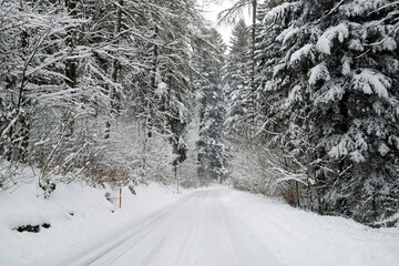 Obraz premium Mountain road and snowing weather at Macolin, Bern Canton, Switzerland