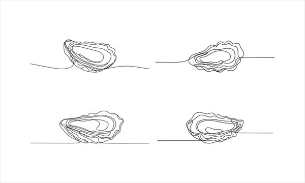 Single Line Drawing Oyster Illustrations Set vector