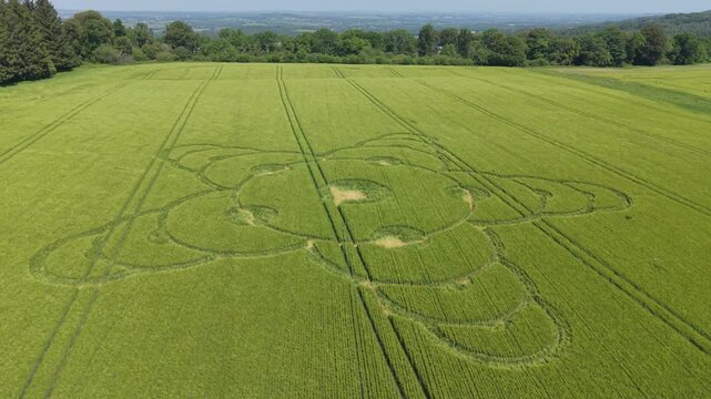 Aerial footage of a mysterious, intricate, geometric crop art, crop circle formation in a barley field near King Alfred's Tower, Jack's Castle Plantation, Somerset, England, UK; 8 May 2026