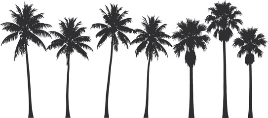 Seven black palm trees on white background © SHOFIQUL