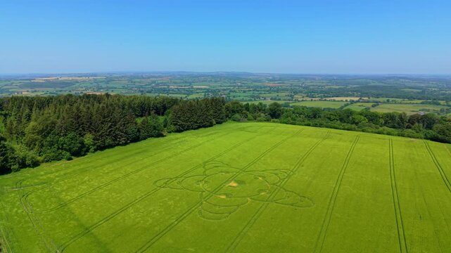 Aerial footage of a mysterious, intricate, geometric crop art, crop circle formation in a barley field near King Alfred's Tower, Jack's Castle Plantation, Somerset, England, UK; 8 May 2026