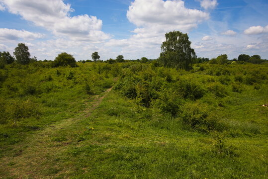 Barnack, Cambridgeshire, England, UK - June 16 2026: Barnack Hills and Holes Nature Reserve Path leading up to the top of the hill through the dramatic landscape toward a tall tree