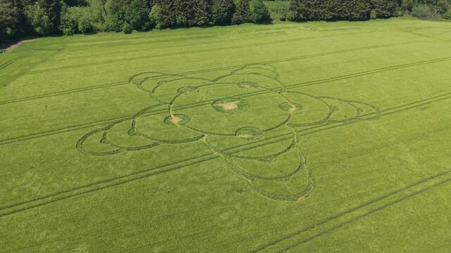 Aerial footage of a mysterious, intricate, geometric crop art, crop circle formation in a barley field near King Alfred's Tower, Jack's Castle Plantation, Somerset, England, UK; 8 May 2026