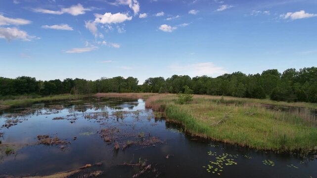 Marthaville Habitat Management Area