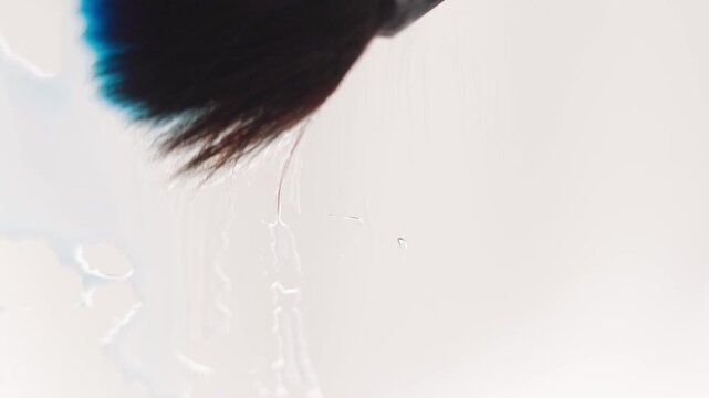 Close up of blue watercolour mixing on a glass. Artist draws with a brush, liquid analog effects for background with copy space for text in center. 