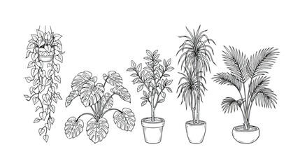 Obraz premium Minimalist line art houseplant collection, set of 5 botanical indoor plant vector illustrations, black and white potted greenery sketches for home decor