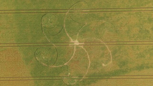 Aerial footage of a mysterious, intricate, geometric crop art, crop circle formation in a barley field near near Snap Hill, Kingweston, Somerset, England, UK; 10 May 2026