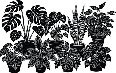 Black and white botanical illustration of tropical houseplants in pots © Graphicslover