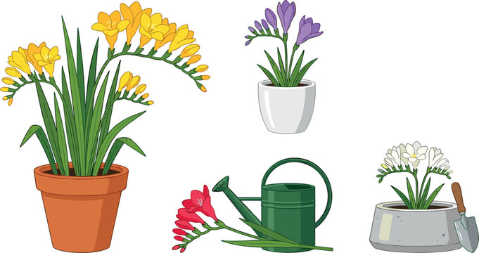 Freesia Flower Potted Plant Vector Illustration Set with Gardening Tools, Watering Can, and Potted Blossoms for Spring Decor and Floral Graphic Designs