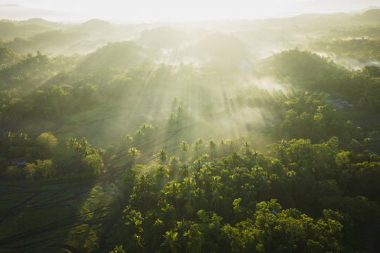 Aerial view of the Chocolate Hills shrouded in morning mist with sun rays piercing through lush tropical vegetation in Batuan, Central Visayas, Philippines.