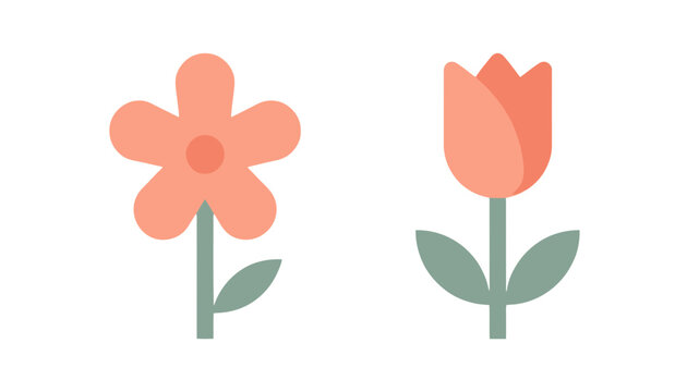 Botanical specimens with orange pigmentation featuring radial petal symmetry and elongated floral tubes