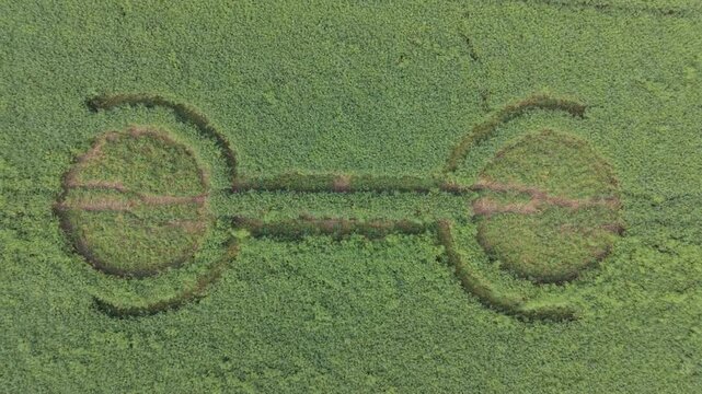 Aerial footage of a mysterious, intricate, geometric crop art, crop circle formation in a barley field near Waden Hill, Silbury Hill, West Kennet Avenue, Avebury, Wiltshire, England, UK; 29 April 2026