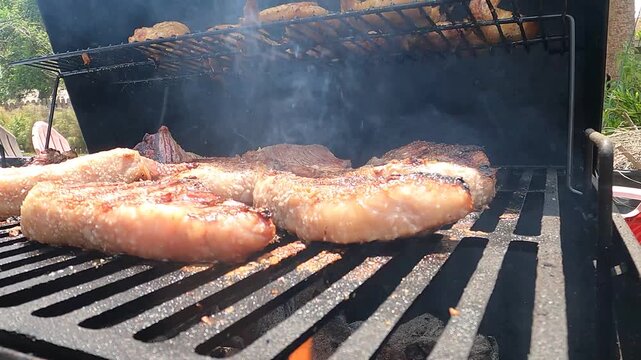 A backyard brazilian bbq 