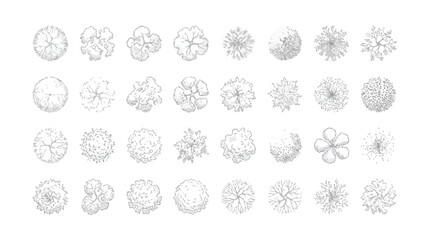 Architectural tree symbols for landscape design, set of 32 hand drawn top view plant icons, minimalist outline vegetation for site plan rendering © Alea_John