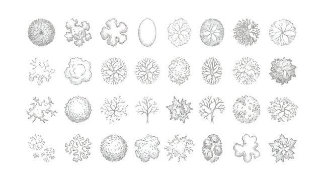 Architectural tree plan symbols, 32 hand drawn landscape design elements, top view vegetation icons for site planning and garden layout vector