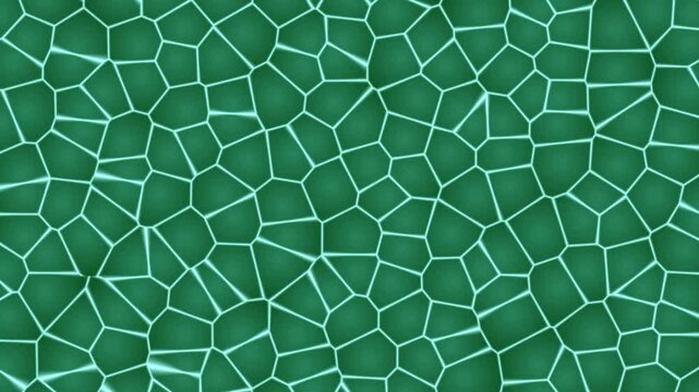 green cracked mosaic background with white lines