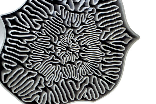 Object printed on 3D printer isolated on white background. Turbine impeller. Model printed on 3D printer from metal powder. Stainless steel alloy 316L. Selective Laser Melting SLM. Additive technology