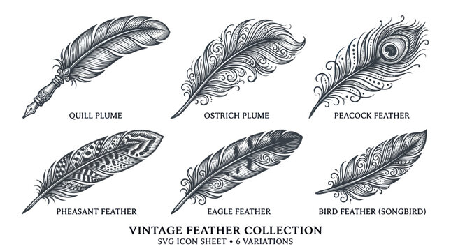 Vintage Feather Collection: Quill, Ostrich, Peacock, Pheasant, Eagle, Songbird - Engraved Style